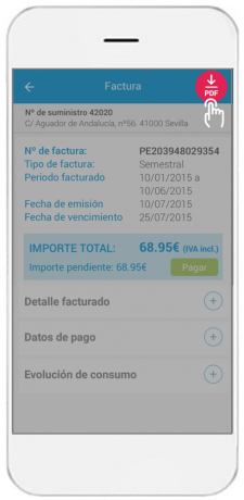 pantallazo movil app2_descarga facturas pdf
