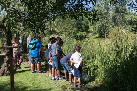 Visita Jardín Botánico Arboreto Grupo Niños y Niñas Saharauis