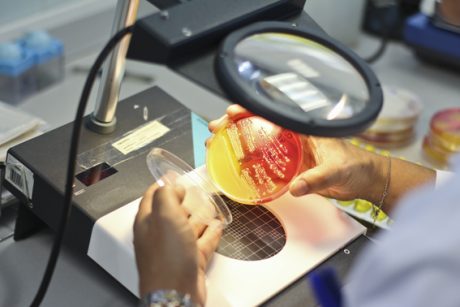 Laboratorio Agua Sanitaria