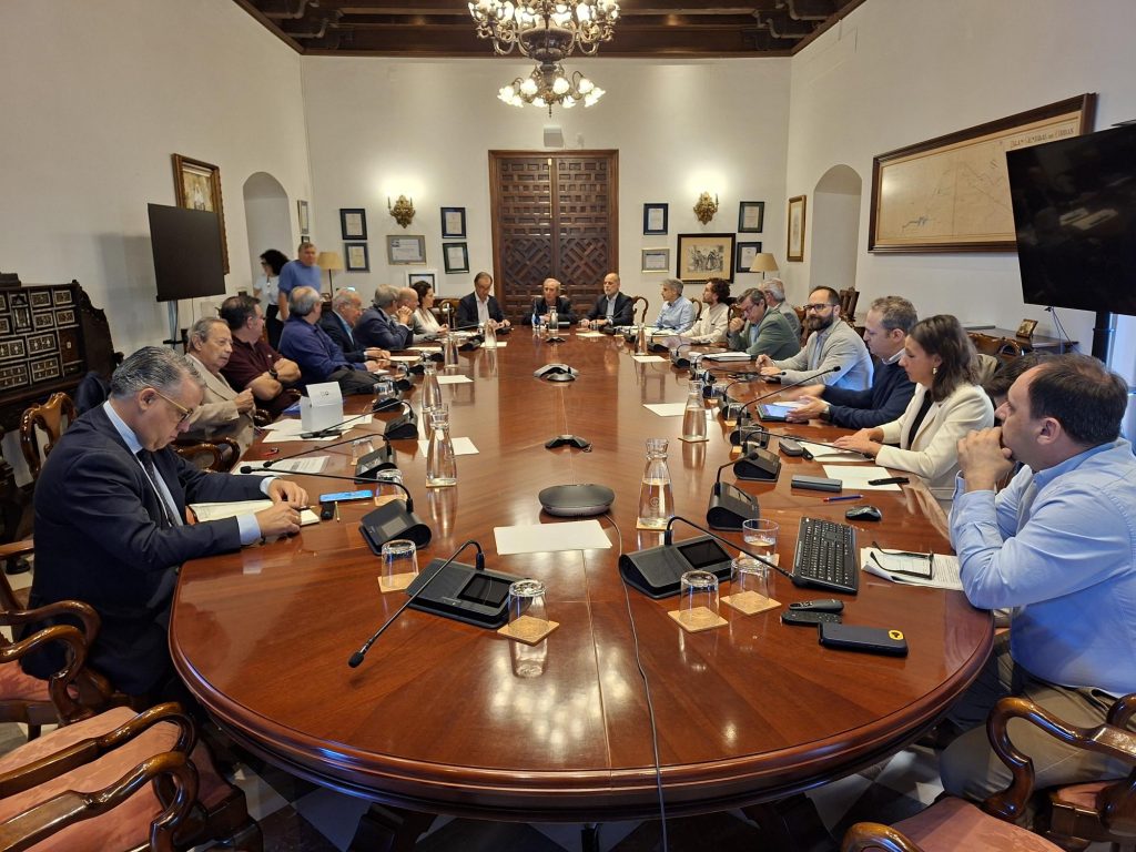 Miembros de la Mesa de Dotación Infraestructural del Observatorio del Agua de EMASESA durante la sesión celebrada el 21 de octubre.